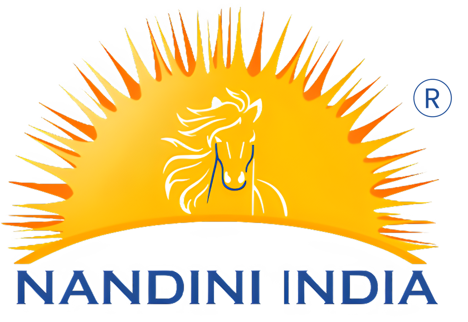 Nandini India Expo